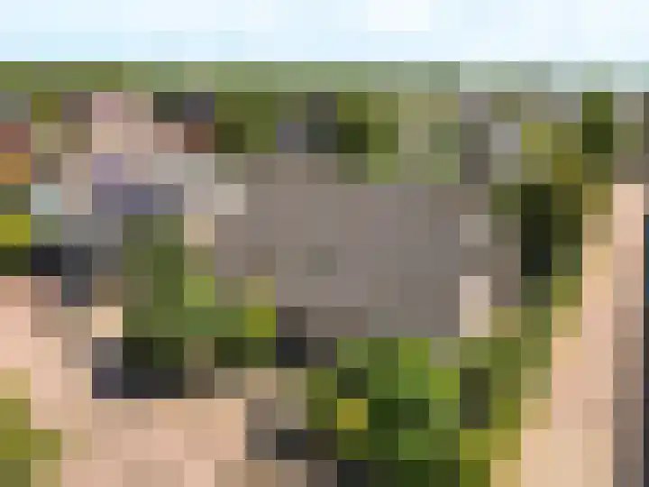 Hondsdraf 176 Swifterbant thumbnail 54