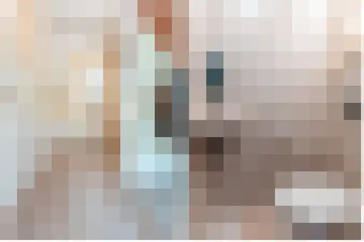 Hondsdraf 176 Swifterbant thumbnail 6