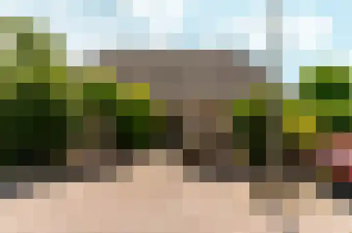 Hondsdraf 176 Swifterbant thumbnail 60