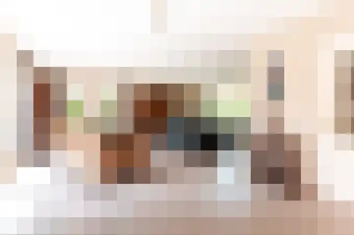 Hondsdraf 176 Swifterbant thumbnail 7