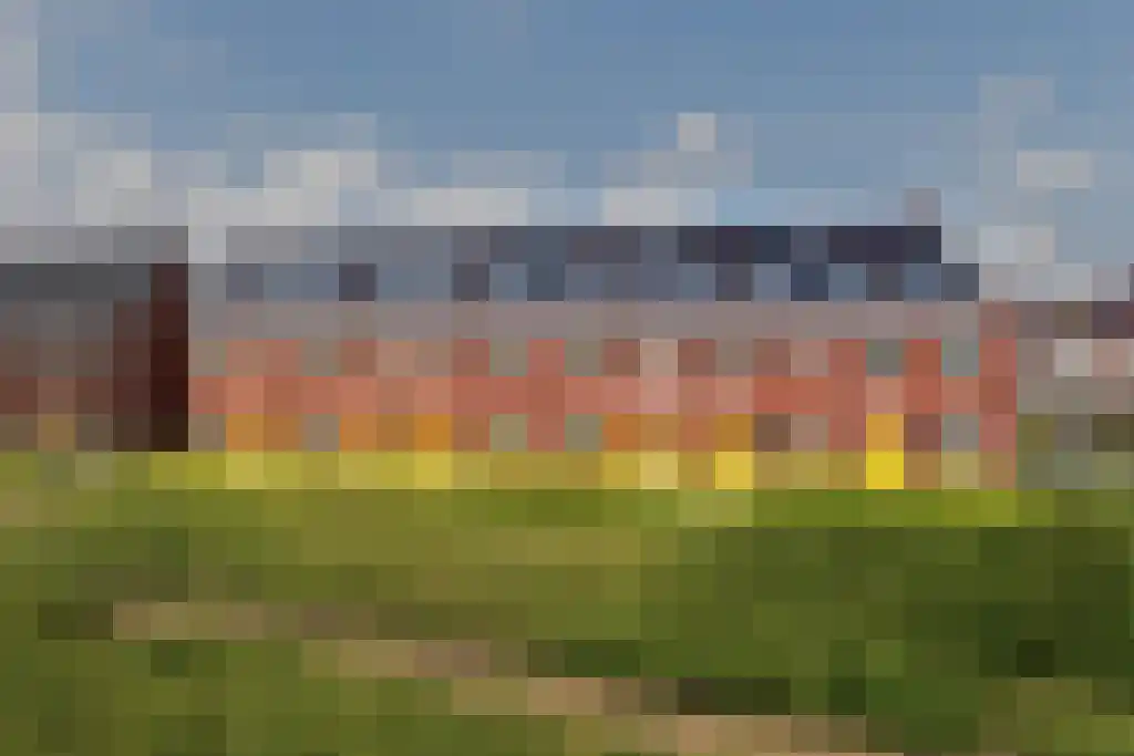 Hondsdraf 18 Bodegraven