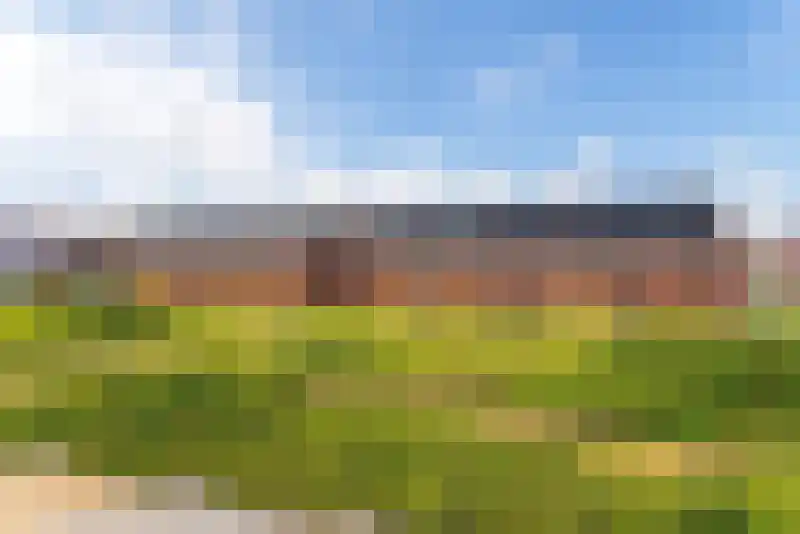 Hondsdraf 18 Bodegraven thumbnail 11