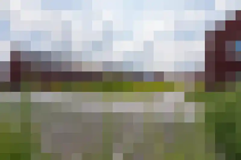 Hondsdraf 18 Bodegraven thumbnail 12