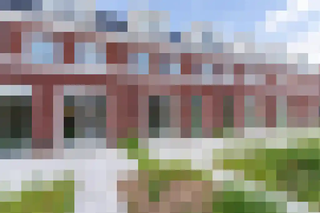 Hondsdraf 18 Bodegraven thumbnail 4
