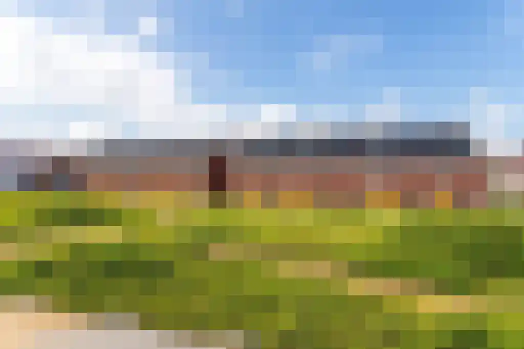 Hondsdraf 18 Bodegraven thumbnail 5
