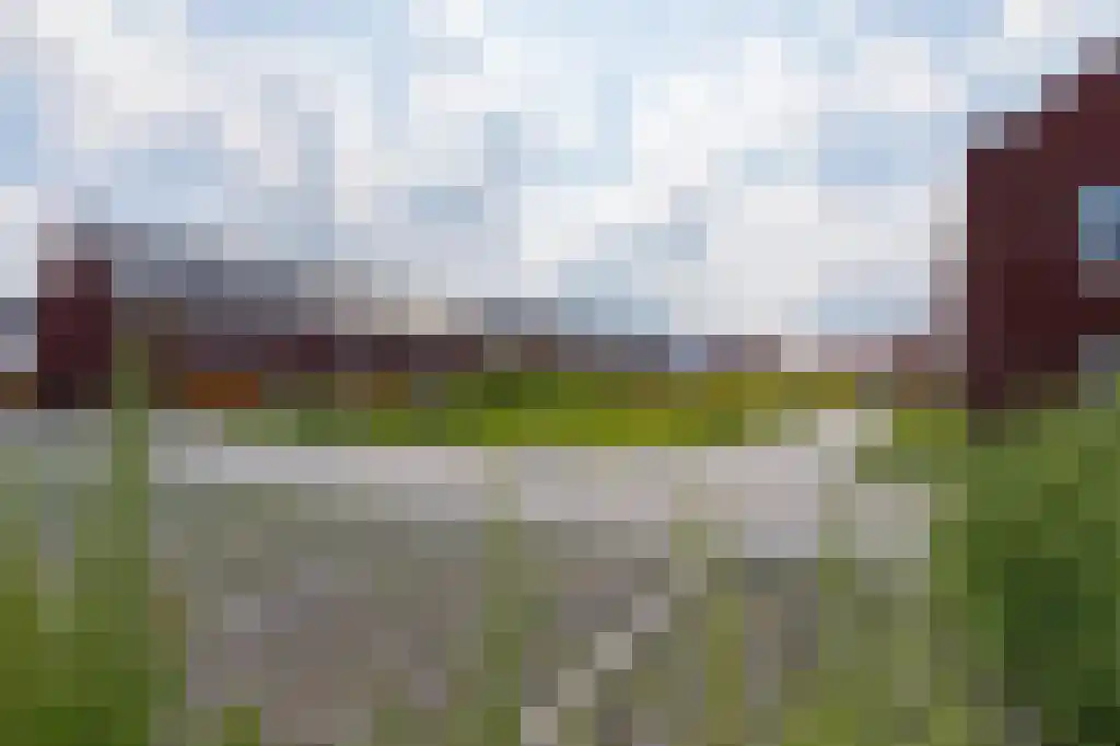 Hondsdraf 18 Bodegraven thumbnail 6
