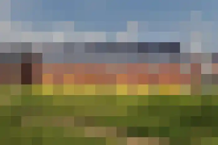 Hondsdraf 18 Bodegraven thumbnail 7