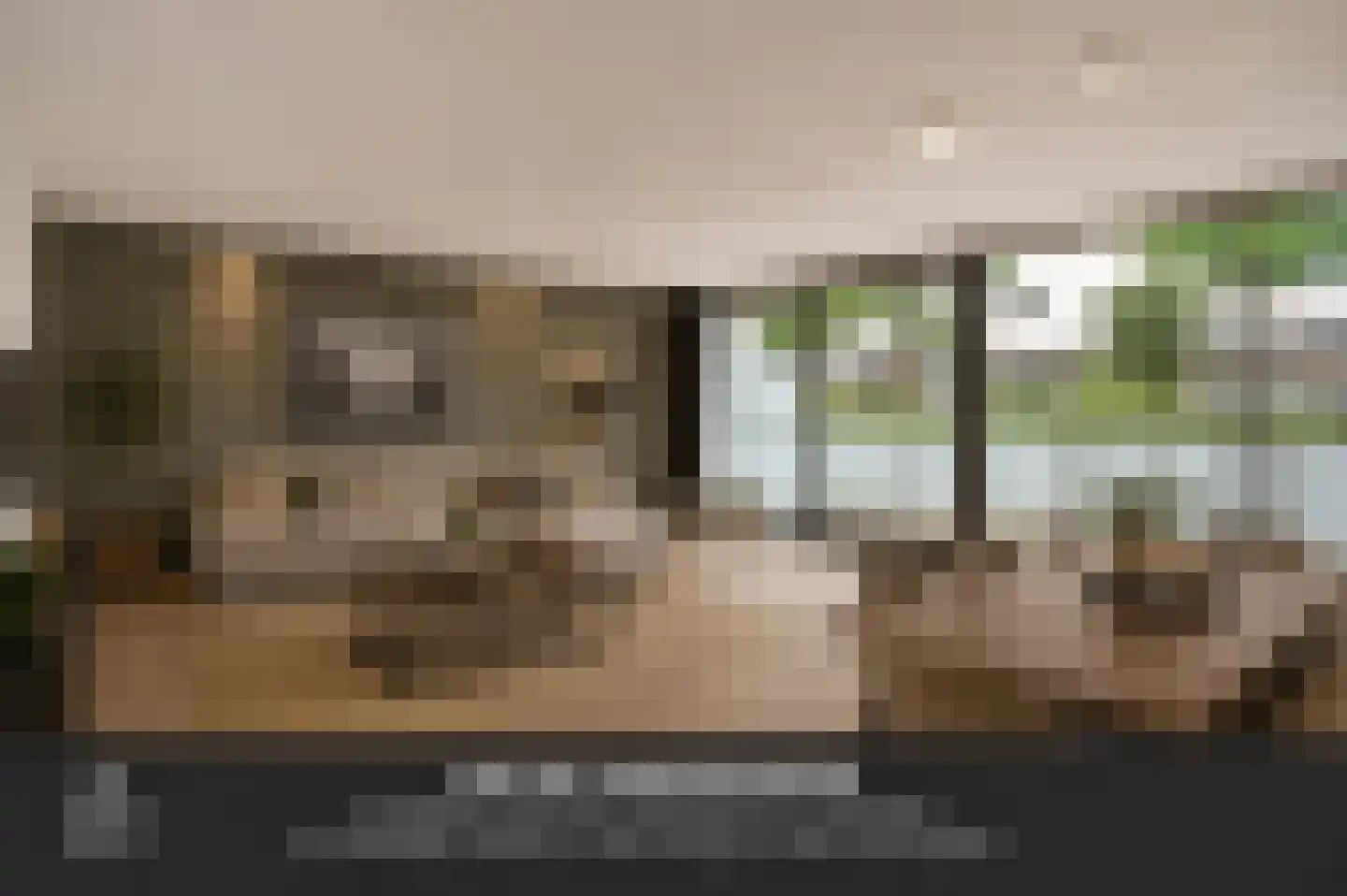 Hondsdraf 19 's-Hertogenbosch thumbnail 14