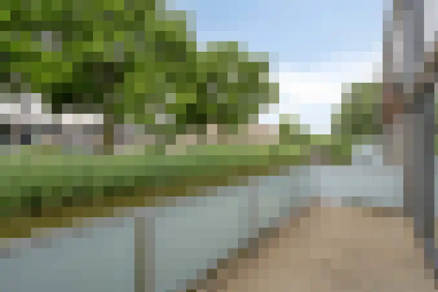 Hondsdraf 19 's-Hertogenbosch thumbnail 20