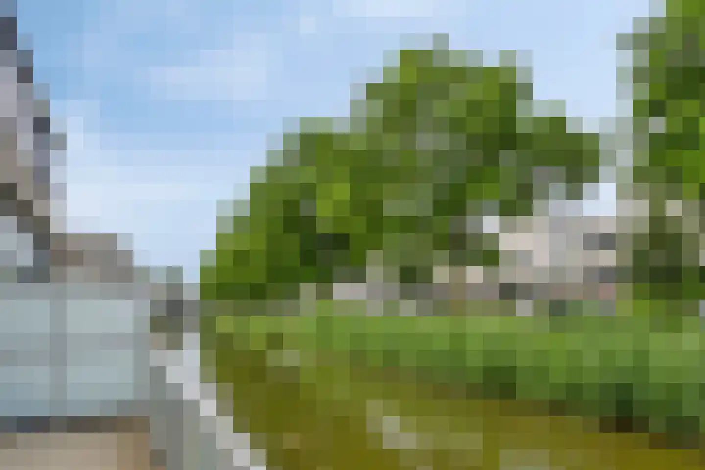 Hondsdraf 19 's-Hertogenbosch thumbnail 21