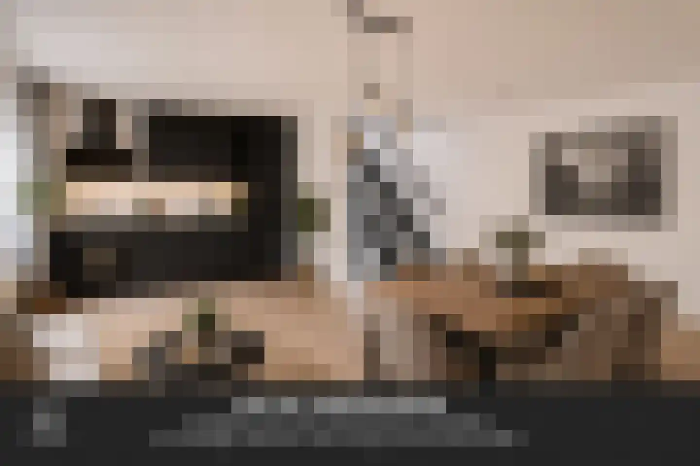 Hondsdraf 19 's-Hertogenbosch thumbnail 25