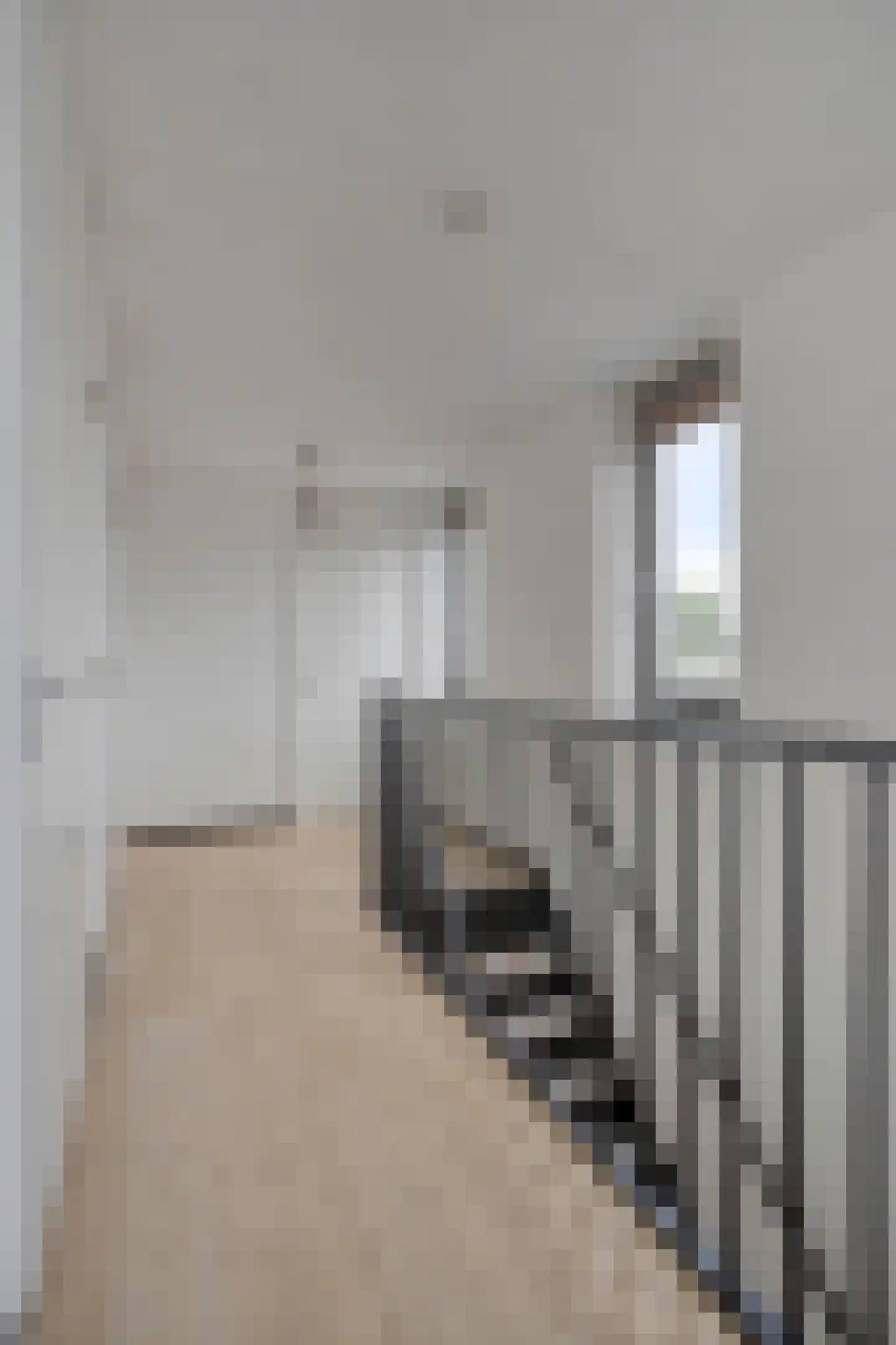 Hondsdraf 19 's-Hertogenbosch thumbnail 29