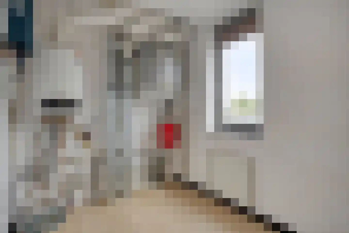 Hondsdraf 19 's-Hertogenbosch thumbnail 37