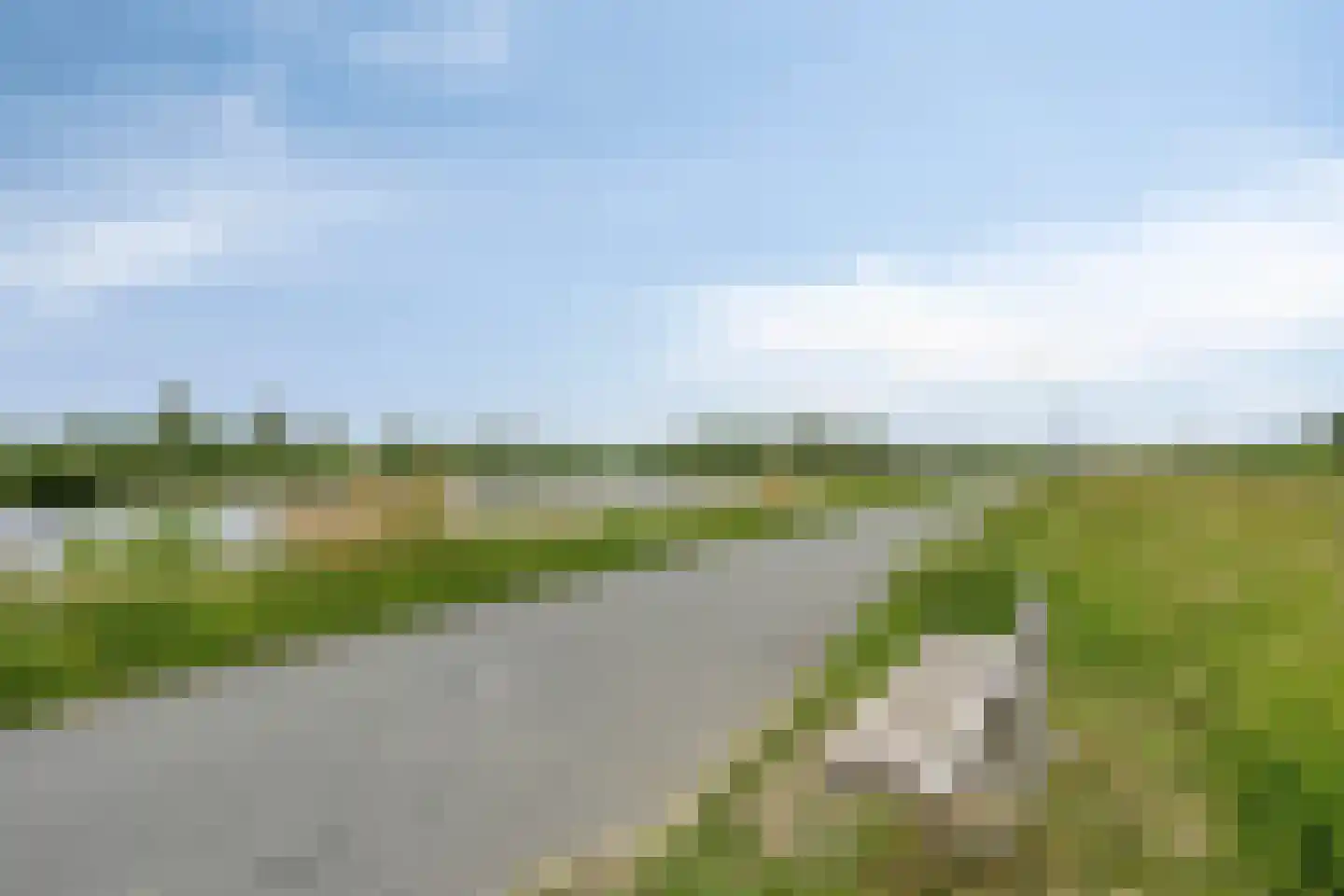 Hondsdraf 19 's-Hertogenbosch thumbnail 44