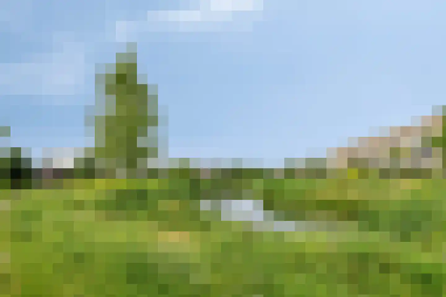 Hondsdraf 19 's-Hertogenbosch thumbnail 45