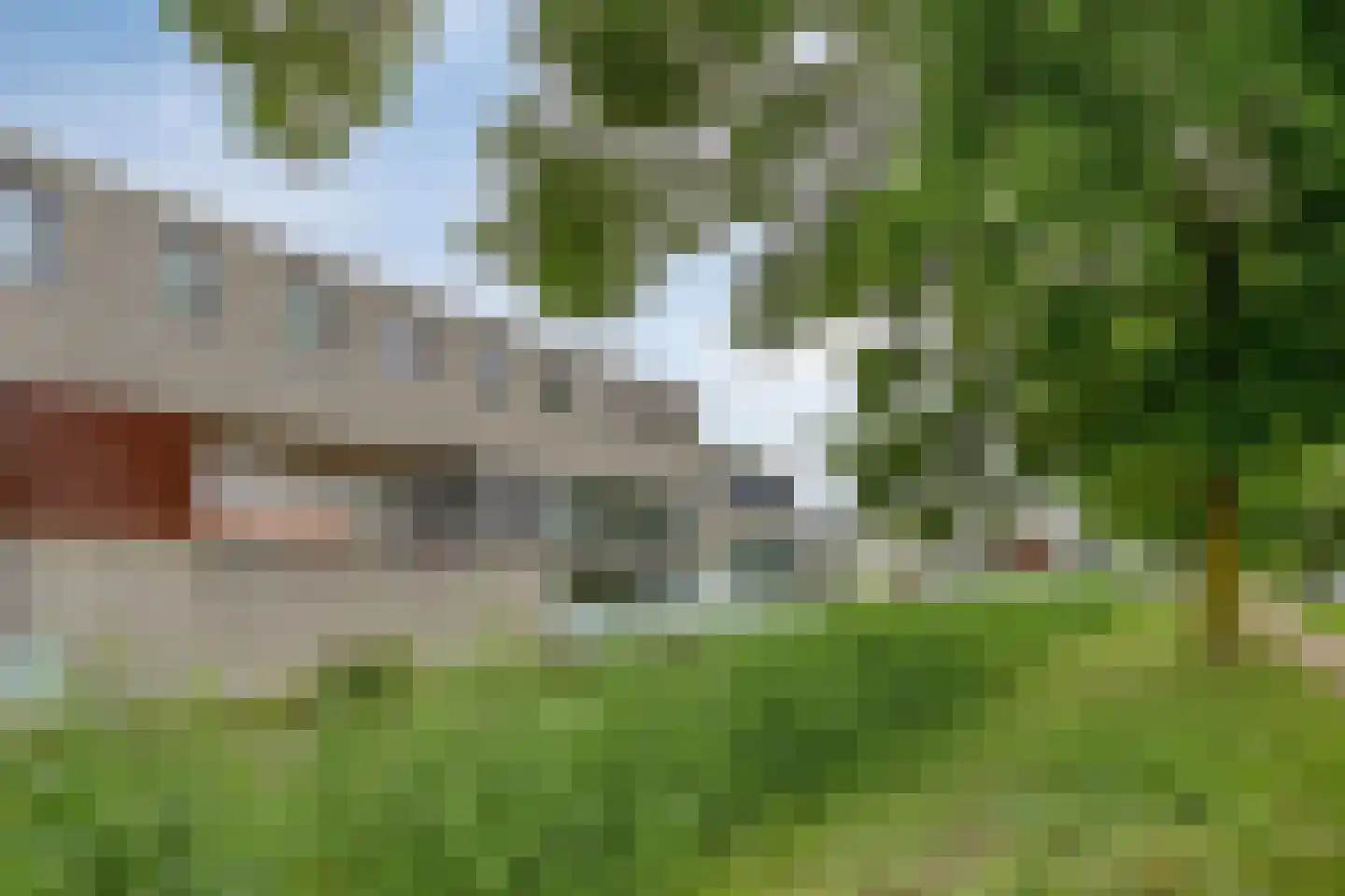 Hondsdraf 19 's-Hertogenbosch thumbnail 6