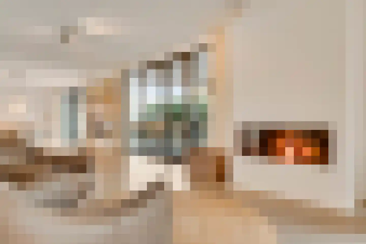 Hondsdraf 2 Heerlen thumbnail 11