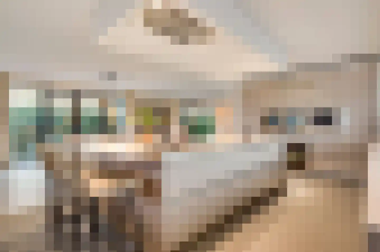 Hondsdraf 2 Heerlen thumbnail 17