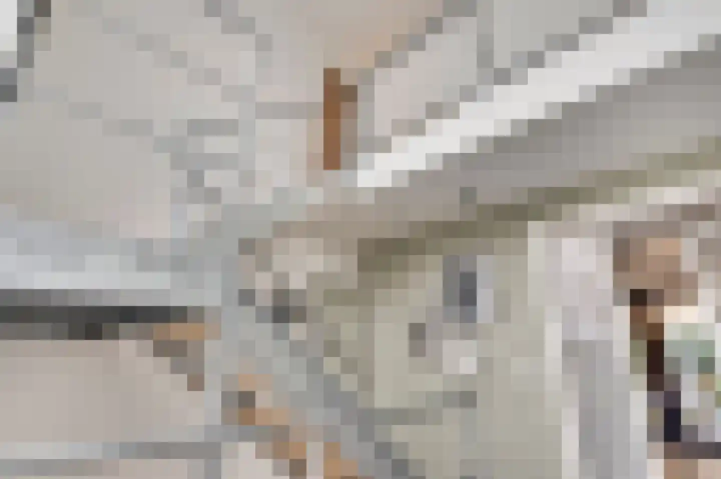 Hondsdraf 2 Heerlen thumbnail 19