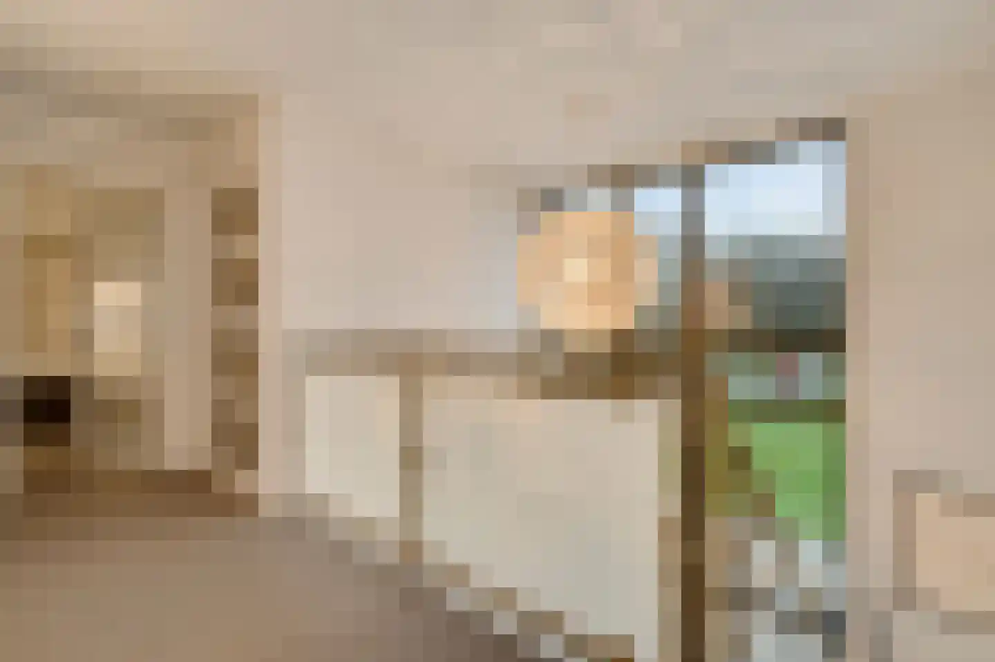 Hondsdraf 2 Heerlen thumbnail 20