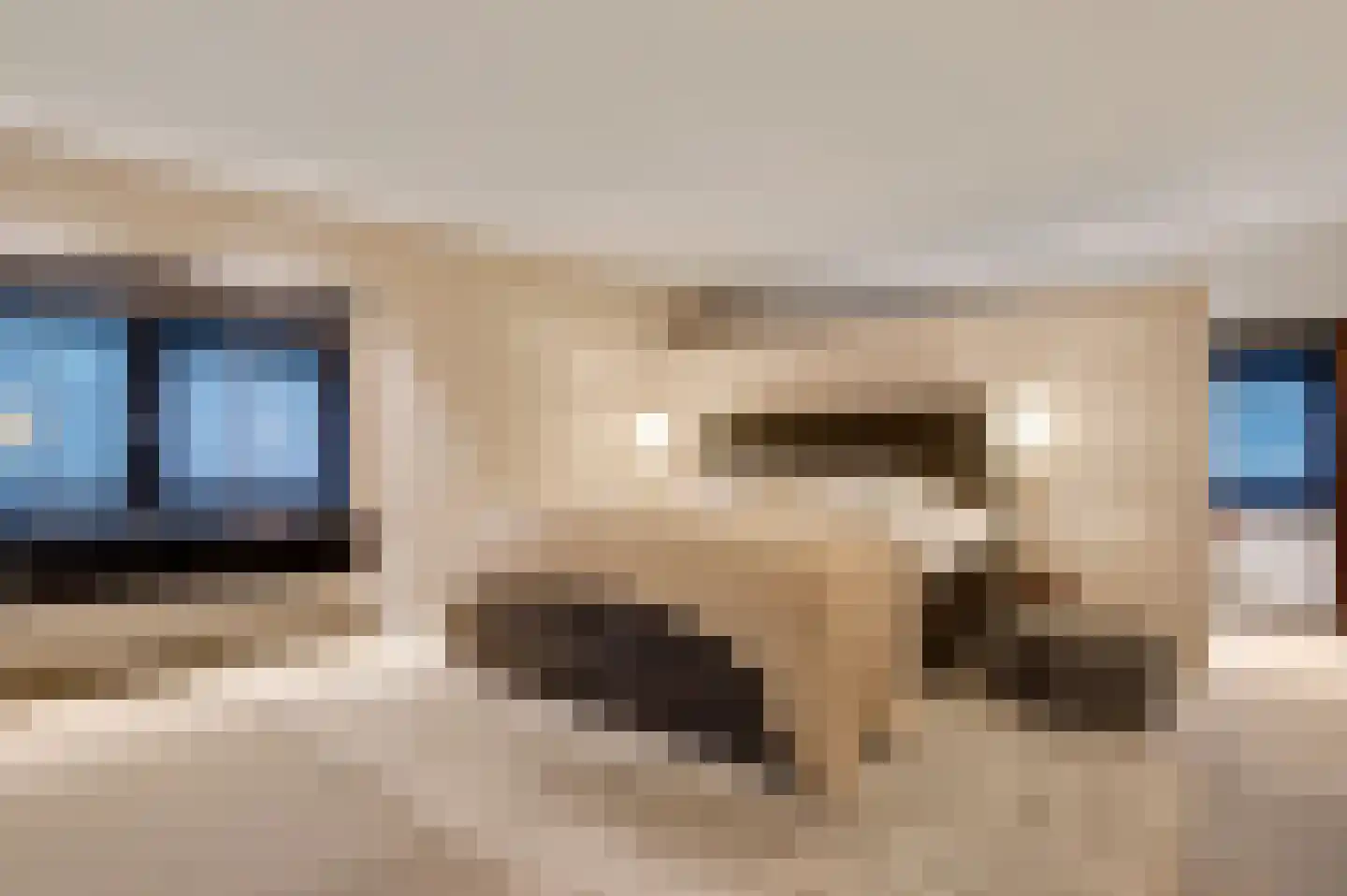 Hondsdraf 2 Heerlen thumbnail 21