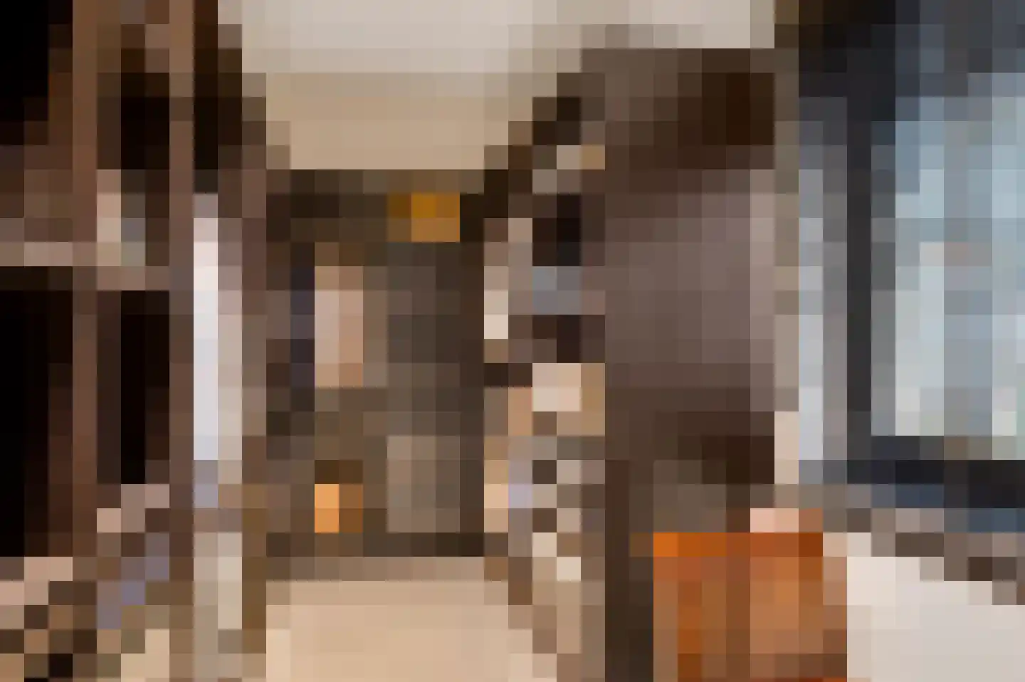 Hondsdraf 2 Heerlen thumbnail 22