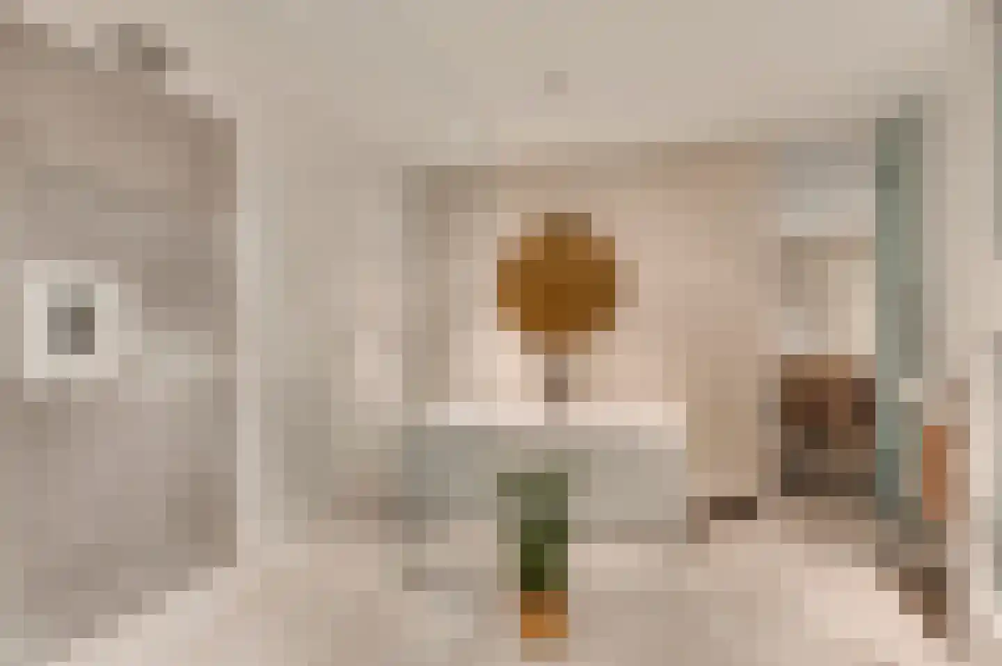 Hondsdraf 2 Heerlen thumbnail 23
