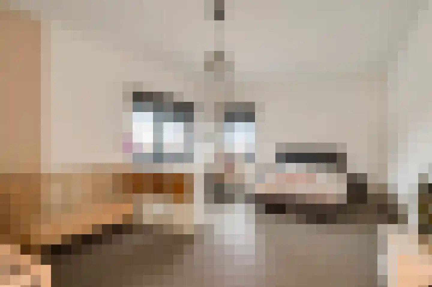 Hondsdraf 2 Heerlen thumbnail 27