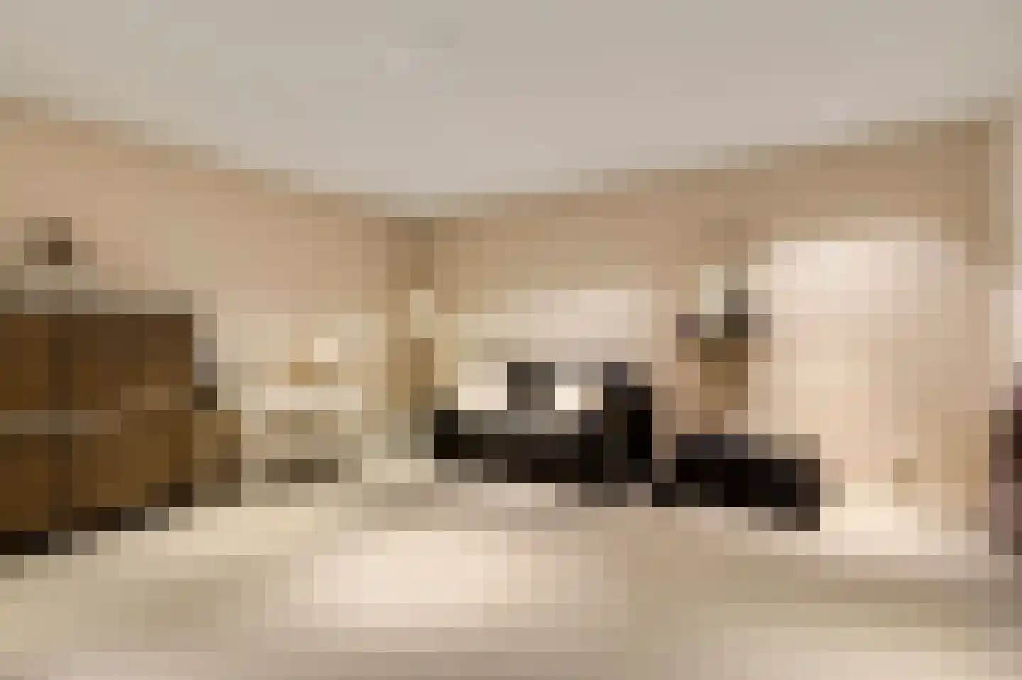 Hondsdraf 2 Heerlen thumbnail 31