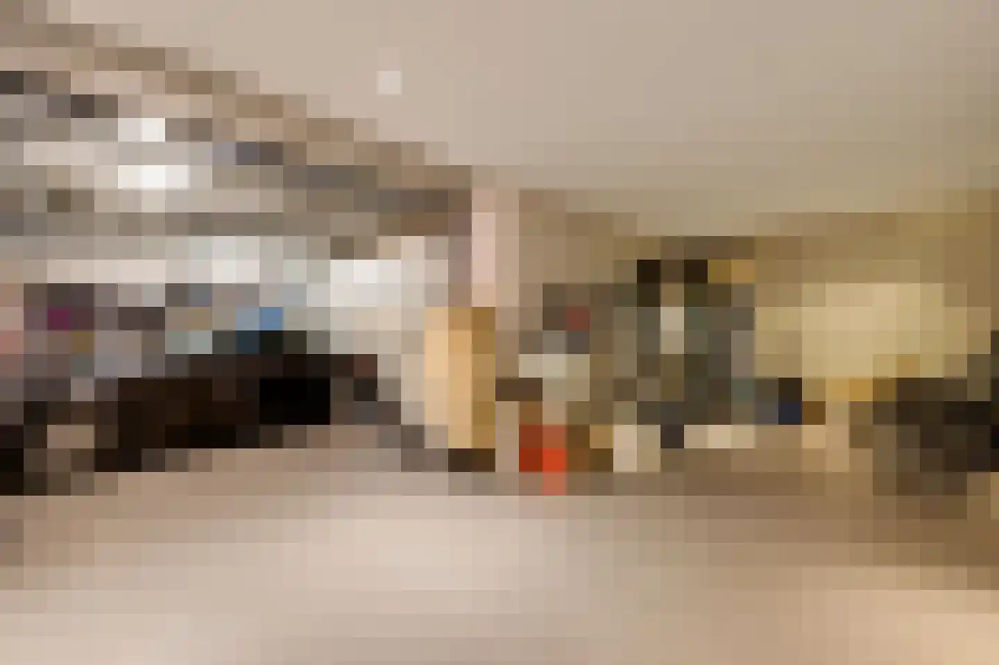 Hondsdraf 2 Heerlen thumbnail 34