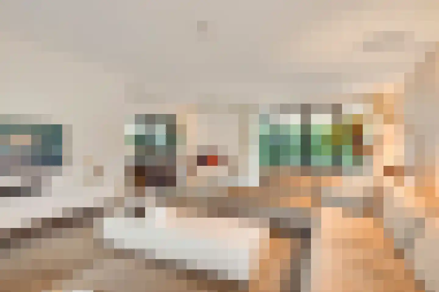 Hondsdraf 2 Heerlen thumbnail 4