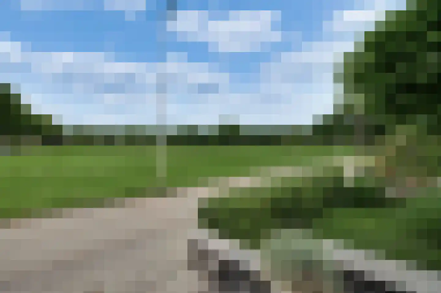Hondsdraf 2 Heerlen thumbnail 5