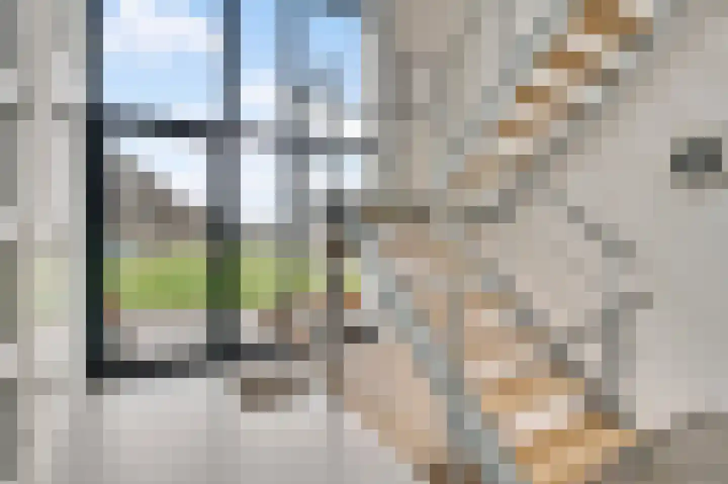 Hondsdraf 2 Heerlen thumbnail 6