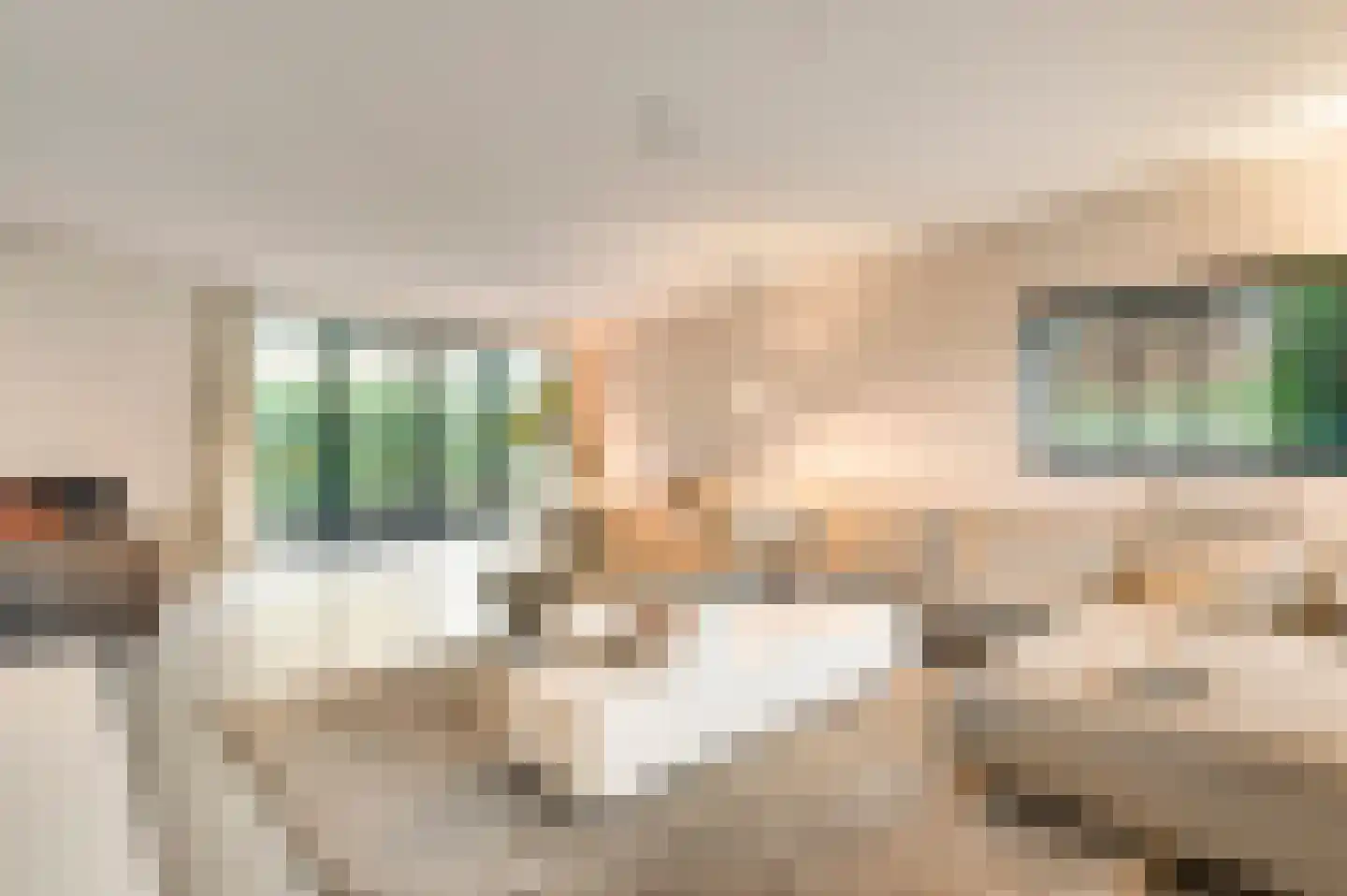 Hondsdraf 2 Heerlen thumbnail 8