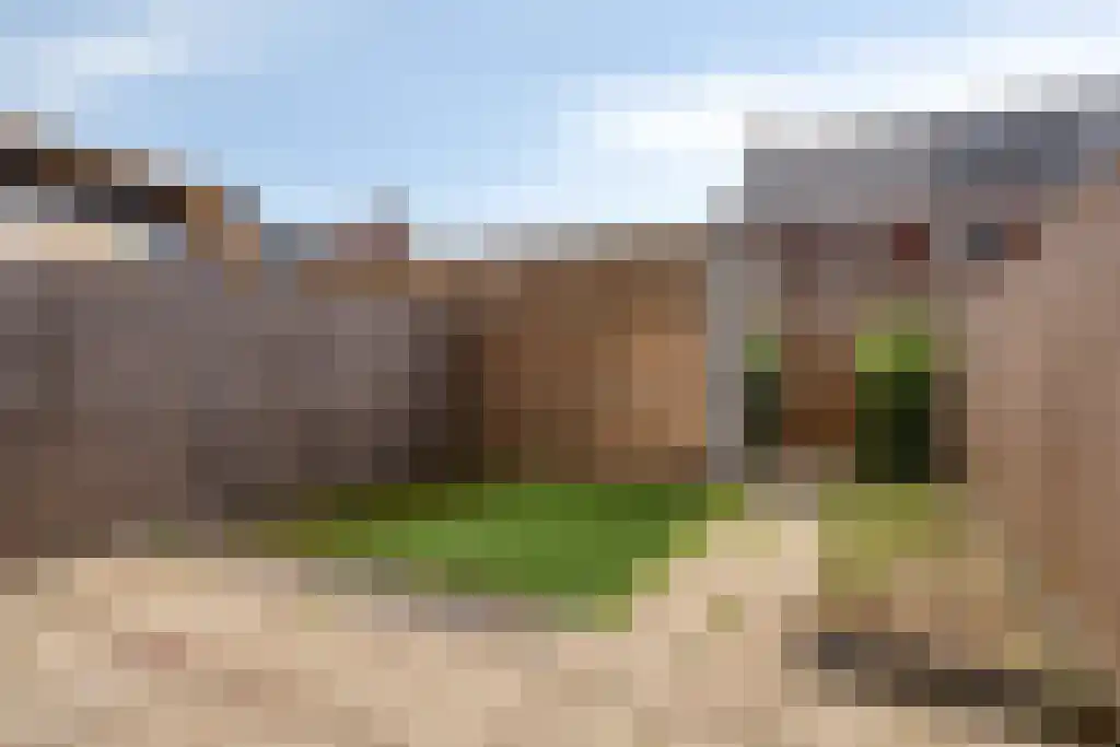 Hondsdraf 20 Bodegraven thumbnail 5