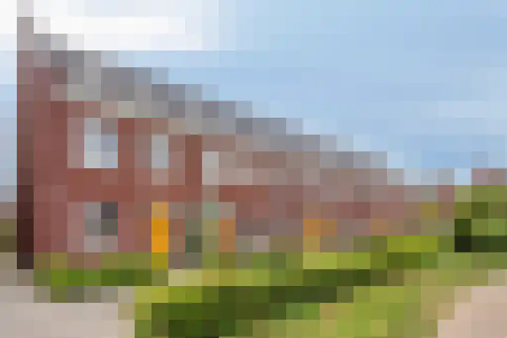 Hondsdraf 20 Bodegraven thumbnail 6