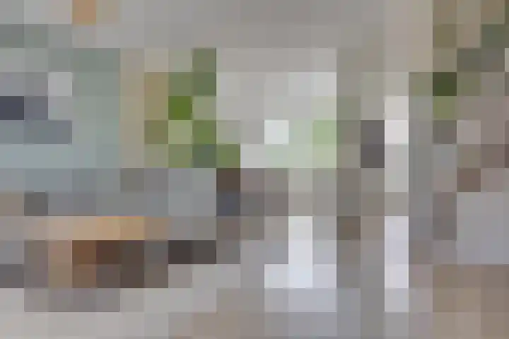 Hondsdraf 20 Leusden thumbnail 10