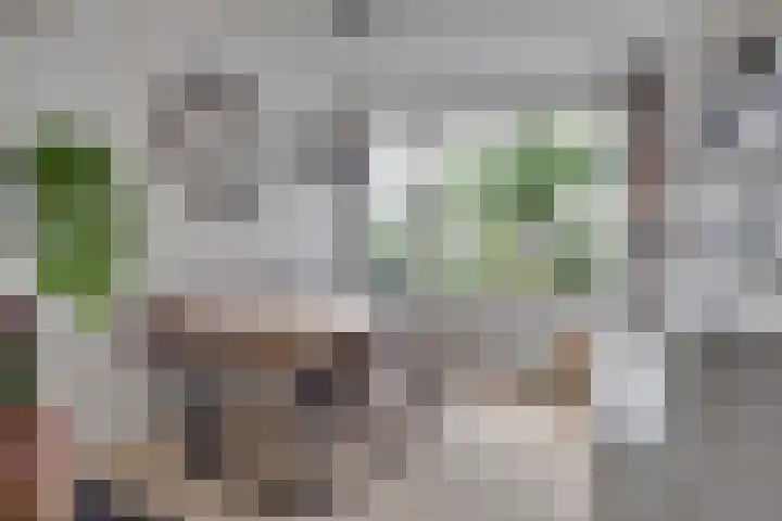 Hondsdraf 20 Leusden thumbnail 11