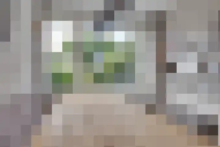 Hondsdraf 20 Leusden thumbnail 12