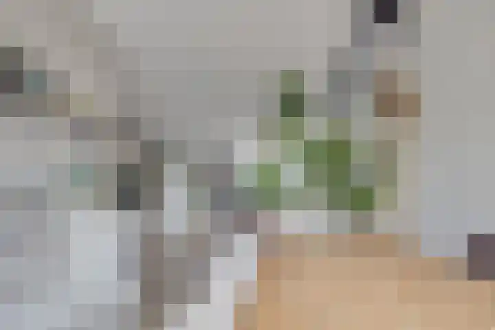 Hondsdraf 20 Leusden thumbnail 13