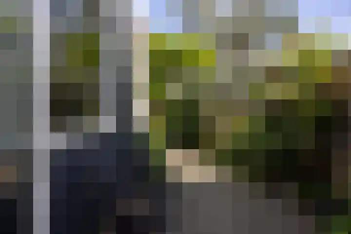 Hondsdraf 20 Leusden thumbnail 14