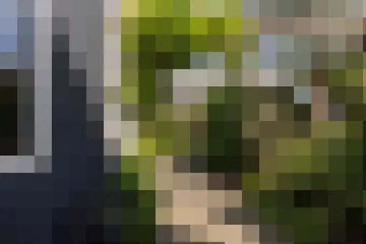 Hondsdraf 20 Leusden thumbnail 15