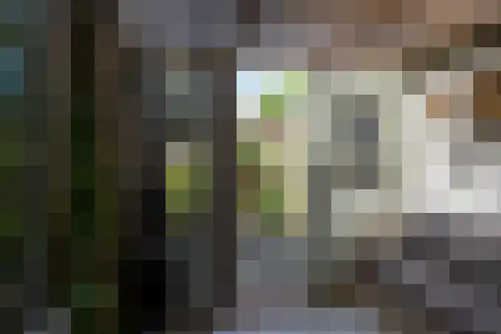 Hondsdraf 20 Leusden thumbnail 17