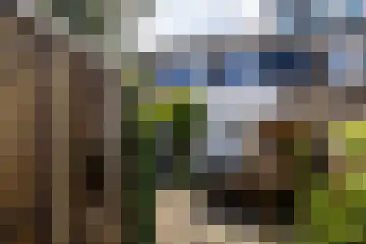 Hondsdraf 20 Leusden thumbnail 18