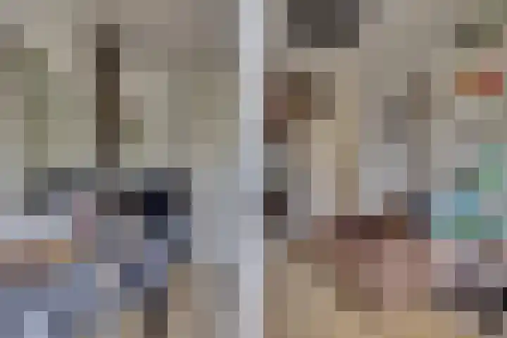 Hondsdraf 20 Leusden thumbnail 21