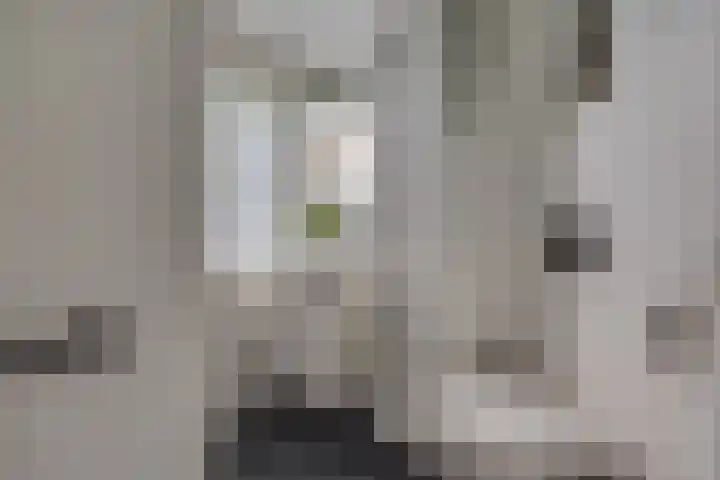Hondsdraf 20 Leusden thumbnail 22