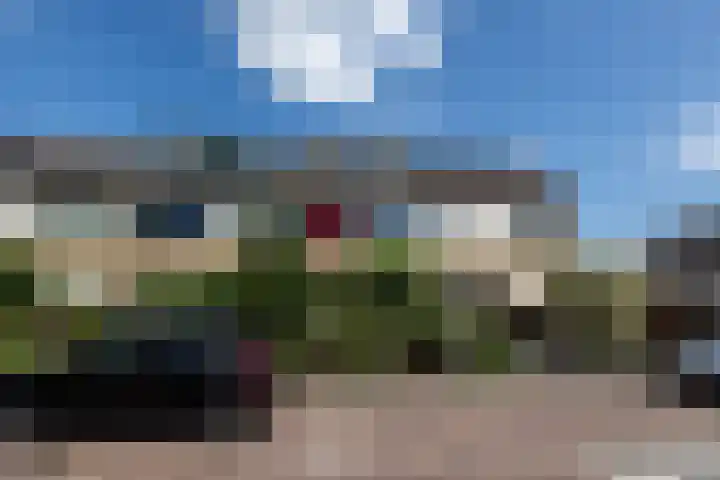 Hondsdraf 20 Leusden thumbnail 30