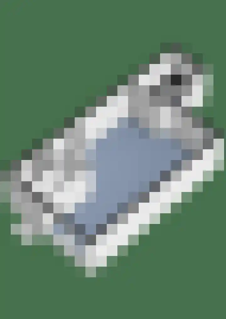 Hondsdraf 20 Leusden thumbnail 36