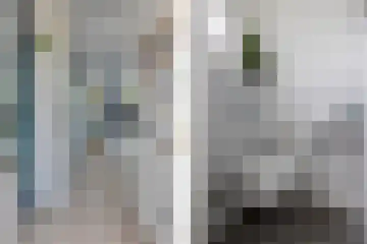Hondsdraf 20 Leusden thumbnail 5