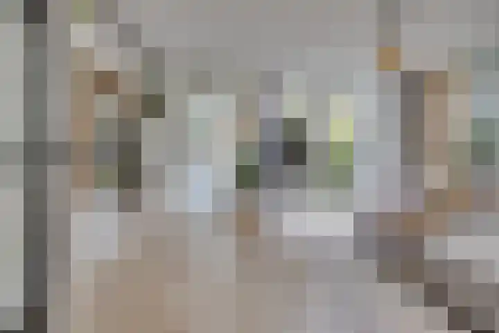 Hondsdraf 20 Leusden thumbnail 6